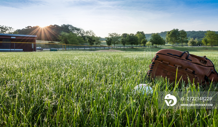 Baseball and glove in morning dew green grass