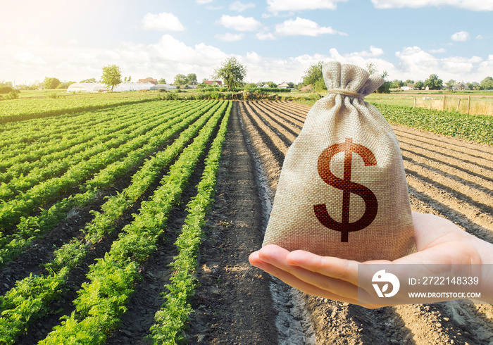 Hand holds out a dollar money bag on a background of a carrot plantation. Support and subsidies. Farm loans. Lending farmers for purchase land and seed material, modernization. Revival of the village.