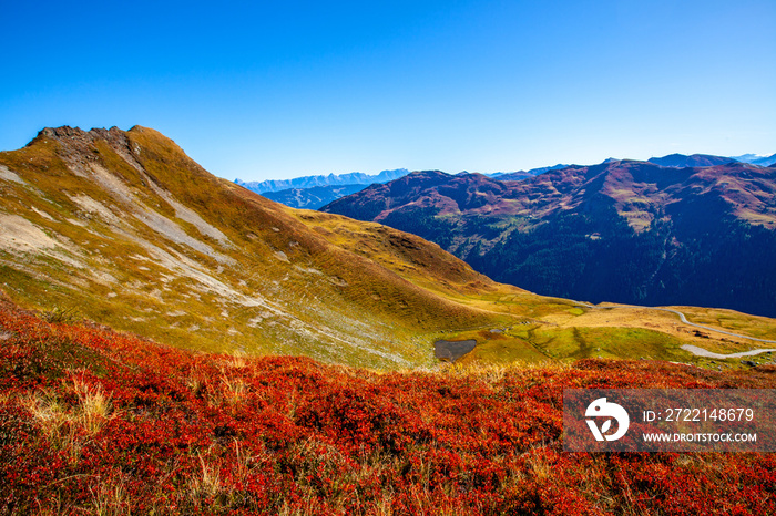 Der Schusterkogel in Hinterglemm