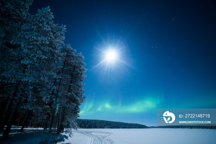 Aurora Borealis aka Northern Lights, Pallas-Yllästunturi National Park, Lapland, Finland