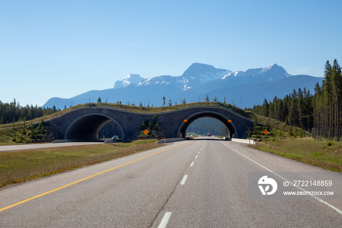 Animal crossing bridge across Trans-Canada Highway in Banff National Park, Alberta, Canada.