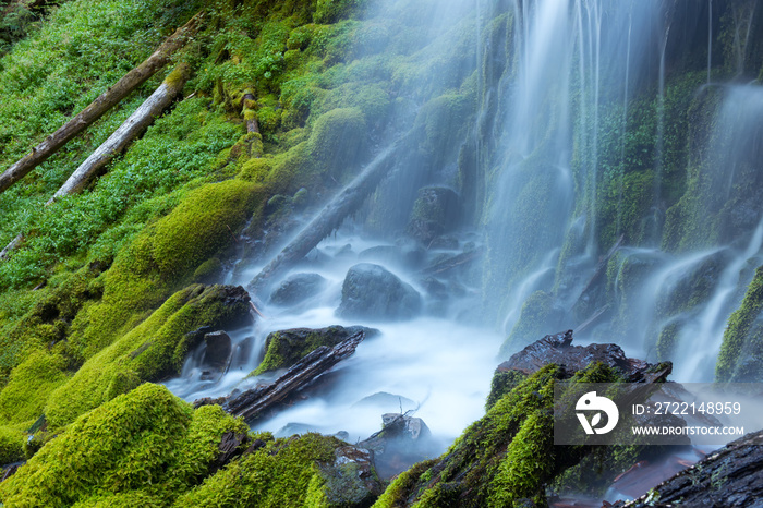 Upper Proxy Falls, Oregon USA