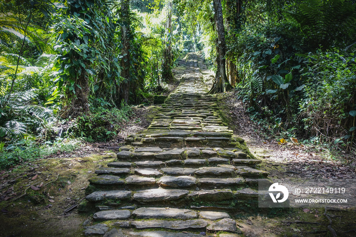 Long staircase covered with moss leading up to the lost city in the jungle of Colombia