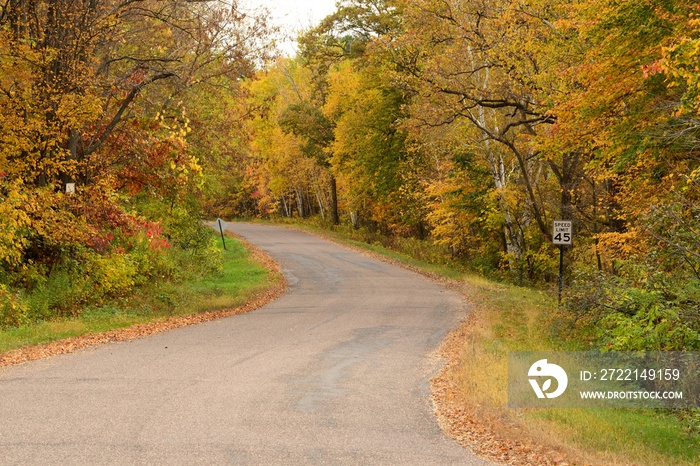 Autumn Colors Along a Rural Road