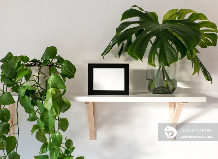 Empty, black frame next to tropical plants