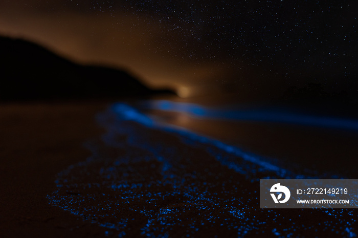 Bioluminescence Denmark