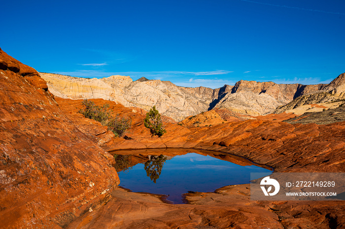 Reflecting pool in Snow Canyon State Park, Utah. Red rock desert surrounded by white sandstone.