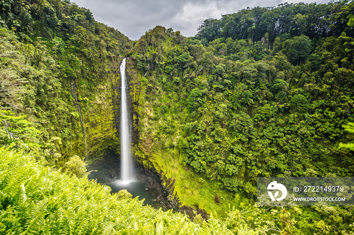 Akaka Falls on Big Island, Hawaii