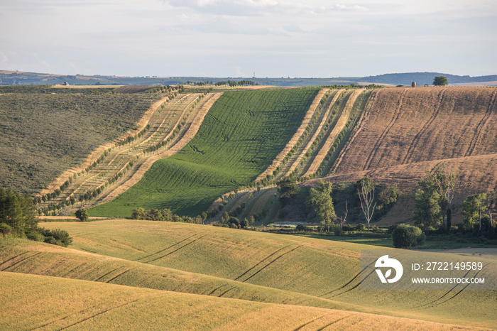 beautifully undulating agricultural landscape in southern Moravia, in an area called  Moravian Tuscany