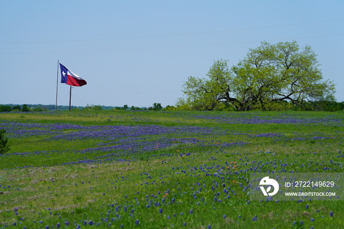 View along Texas Bluebonnets trail during spring time around the Texas Hill Country