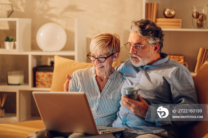 Senior couple using laptop while sitting on a couch at home