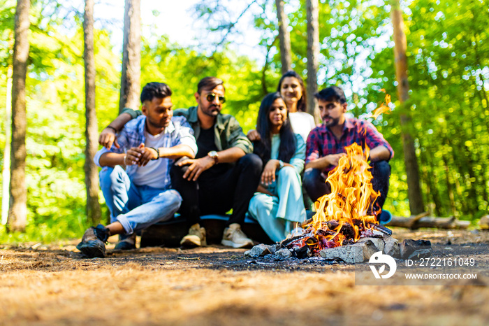 group of five happy mixed race friends at forest near campfire