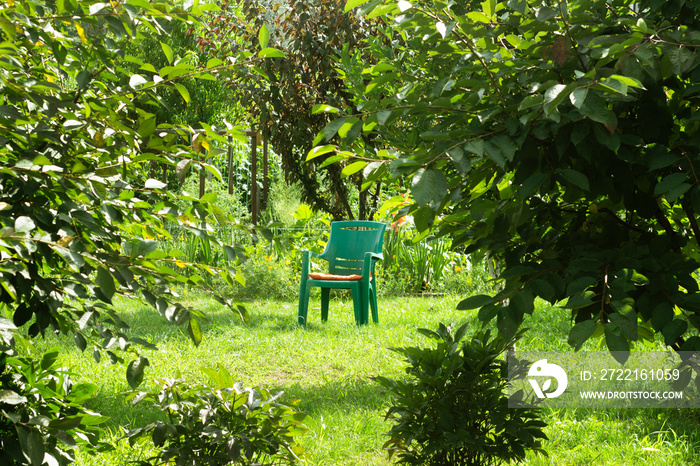 lonely chair in a sun-drenched cherry garden. Place to rest. Summer day.