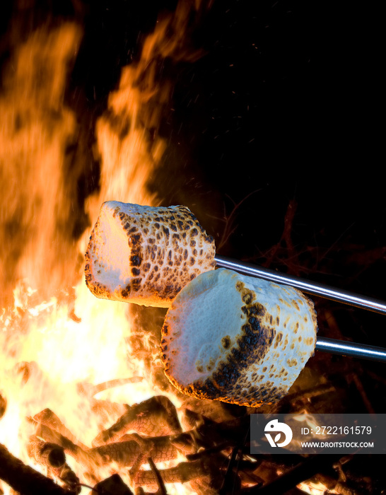 Marshmallows browning over a campfire