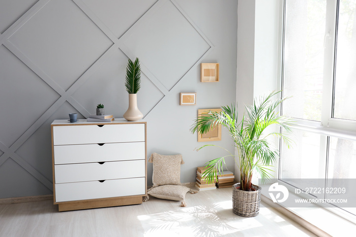 Chest of drawers with palm in stylish interior of room