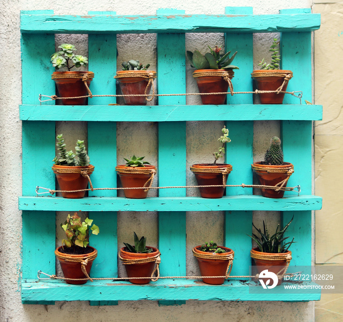 Decorative recycled turquoise pallet with pots, flowers and plants on an outdoors wall