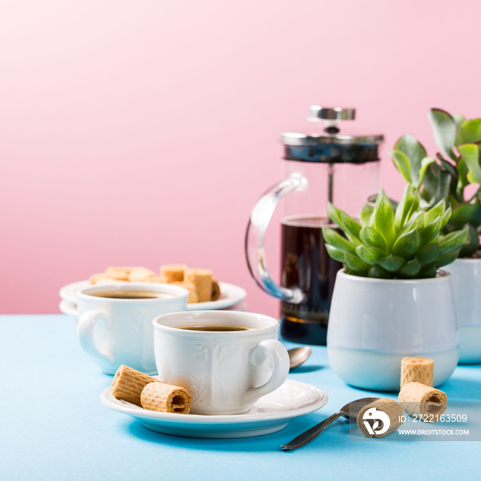 Beautiful composition with two cups of coffee with crispy mini wafer rolls and indoor plants succule