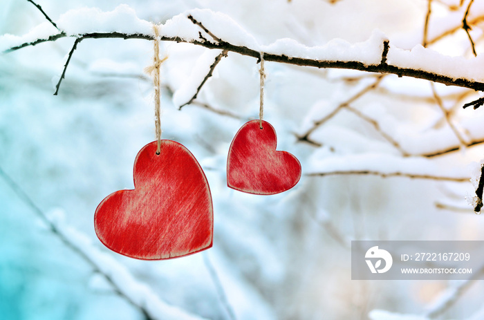 Wooden red heart on snowy tree branch in winter.