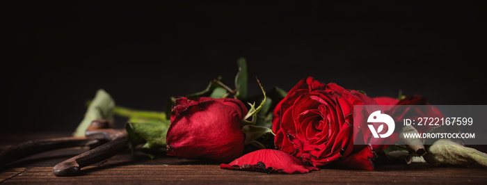 Withered rose on dark gray background and wooden table with fall petals and leaves, design concept o