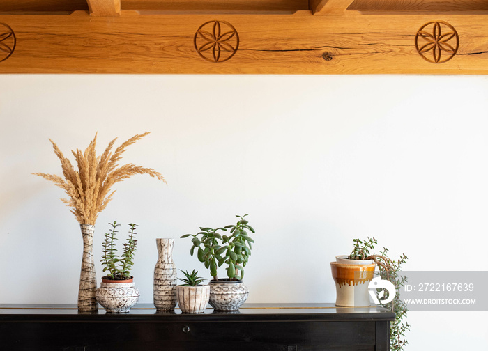 Mid-century modern pottery set - grey pots and a vases with plants on a black wooden table under woo