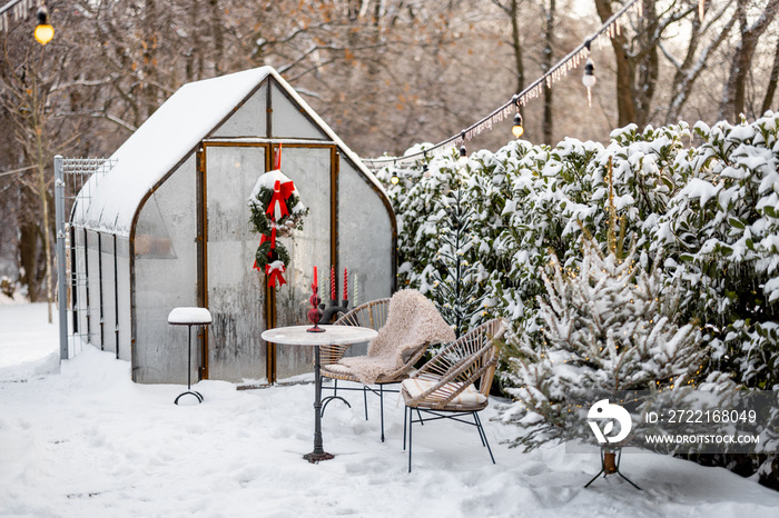 Snowy yard with glasshouse and CHristmas tree