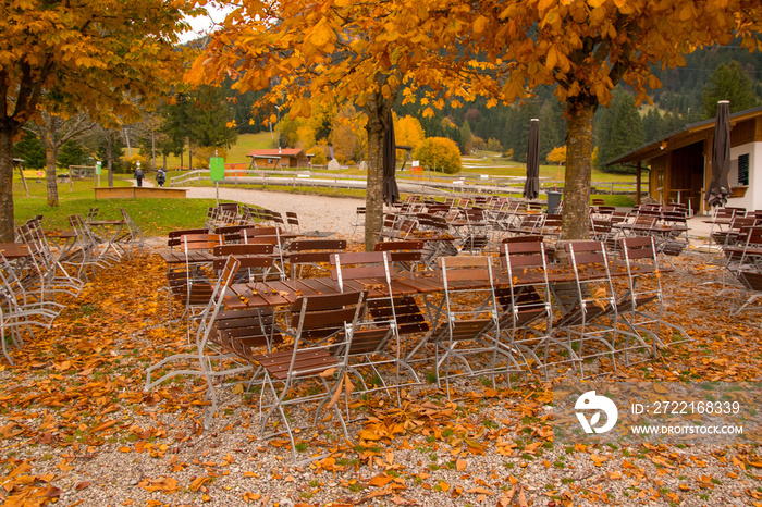 Empty street cafe with wooden table and chairs in autumn park