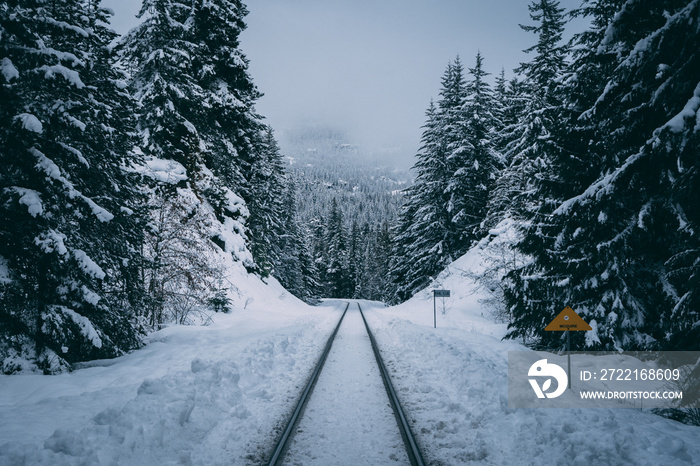 Train tracks in winter snow through forest