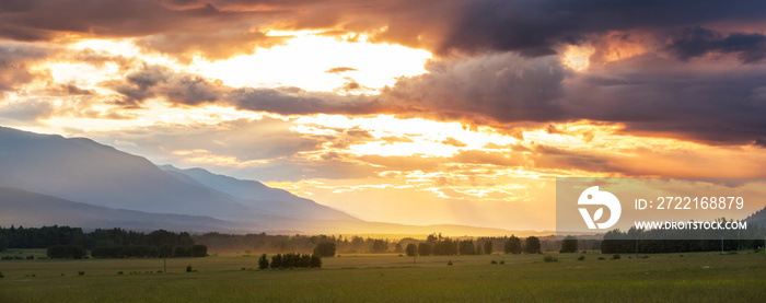 Field on sunset