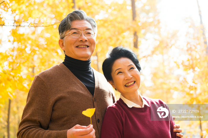 在银杏林散步的老年夫妻