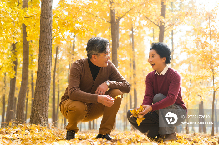 在银杏林散步的老年夫妻