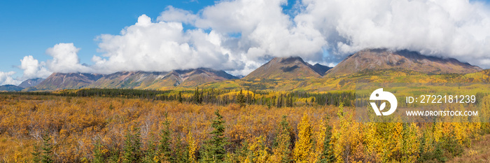 Panoramic landscape in Yukon Territory, northern Canada during September with spectacular fall, autumn colors on perfect blue sky day.