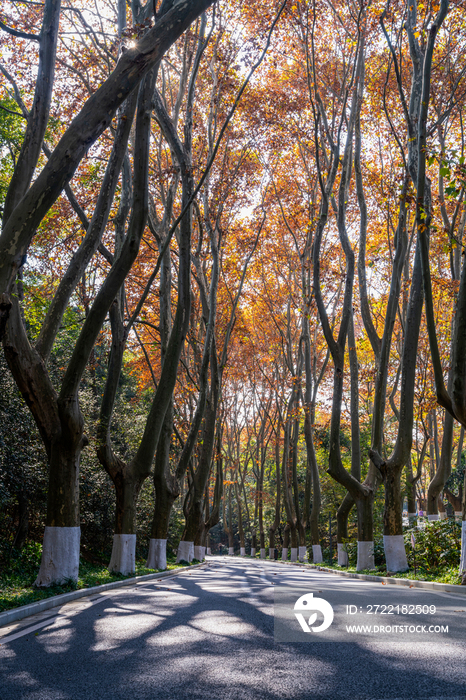 南京中山陵