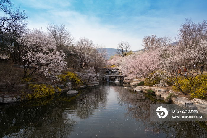 北京植物园