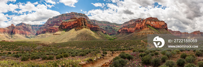 Panorama view of the Grand Canyon National Park during spring time with magnificent panoramic landscape of the wilderness area in Arizona. Blue sky day