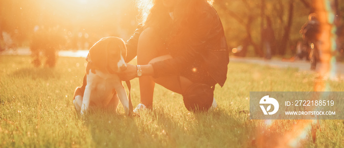 girl with beagle at sunset