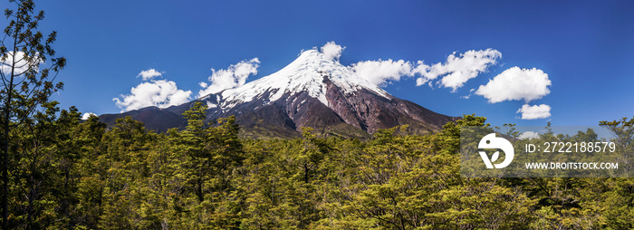 Osorno Volcano (Volcan Osorno), Vicente Perez Rosales National Park, Chilean Lake District, Chile, South America