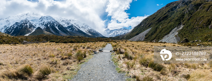 Path into dramatic valley covered by mountains New Zealand