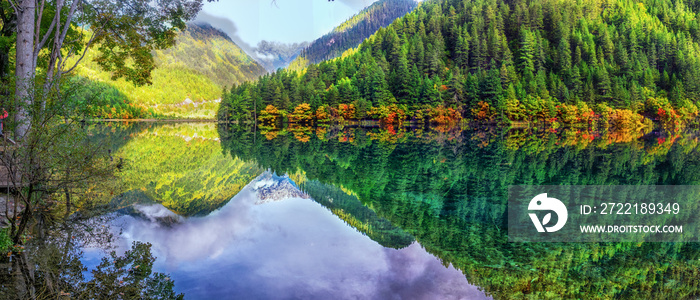 The panoramic colorful scenery of the mirror lake and forest at Jiuzhaigou national park, world heritage site located in Sichuan Province China