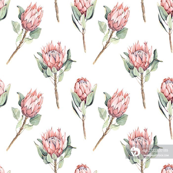 Seamless pattern of watercolor protea flowers. Pink flowers isolated on white background. For wrappe