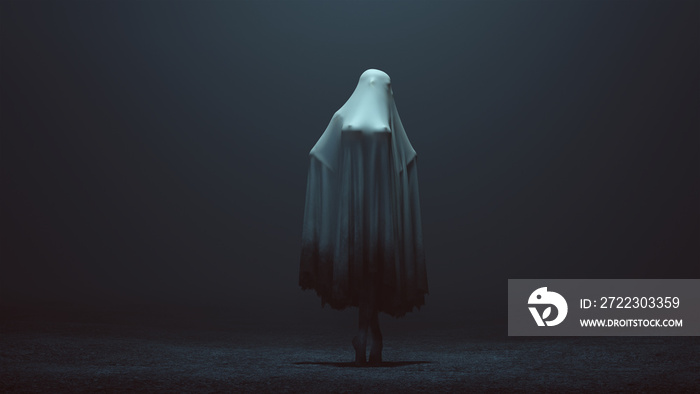 Standing Evil Spirit Ghost with Hands on Hips in a Death Shroud in a Foggy Void Front View 3d Illust