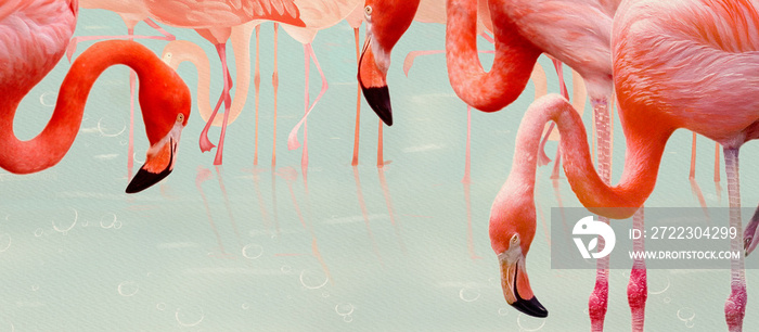 Flamingos. Design element, creative banner