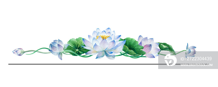 白色背景下荷花、花蕾和叶子的构图边界，手绘水彩。
