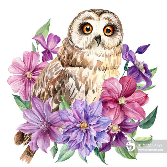 Composition with owl and pink flowers on an isolated white background. Watercolor illustration