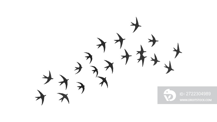 3D渲染燕子群飞翔传播天空自由动物