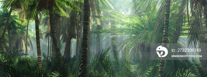 Rainforest in the fog, jungle in the morning in the haze, palm trees in the fog