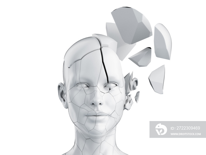 3d rendered medically accurate illustration of a broken female head