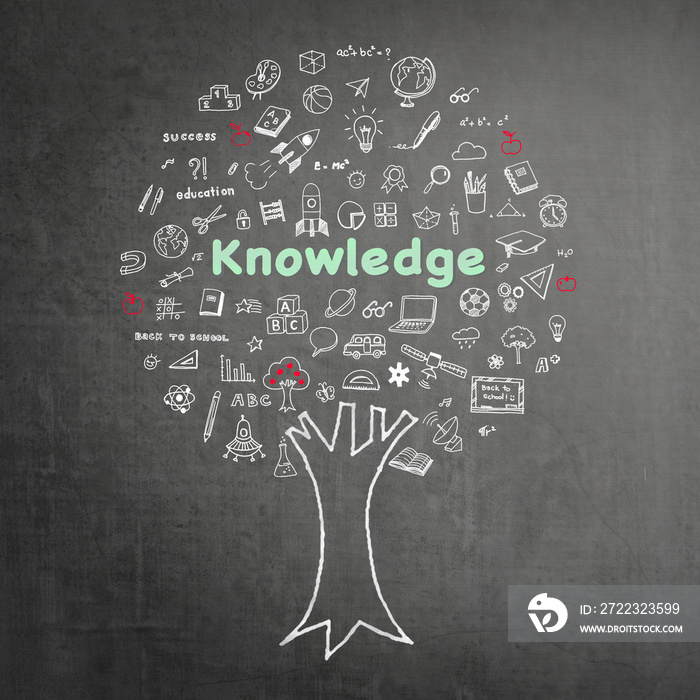 Tree of knowledge education concept on black chalkboard background with doodle