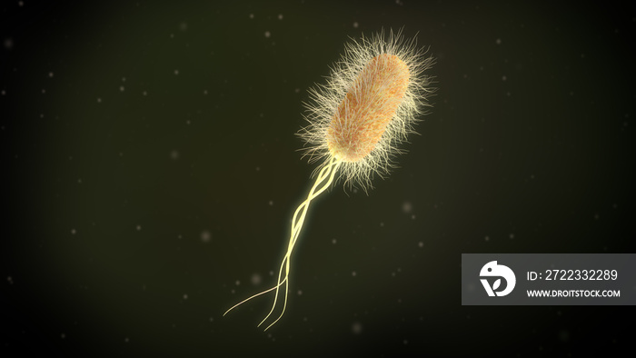 3D illustration of a escherichia coli bacteria