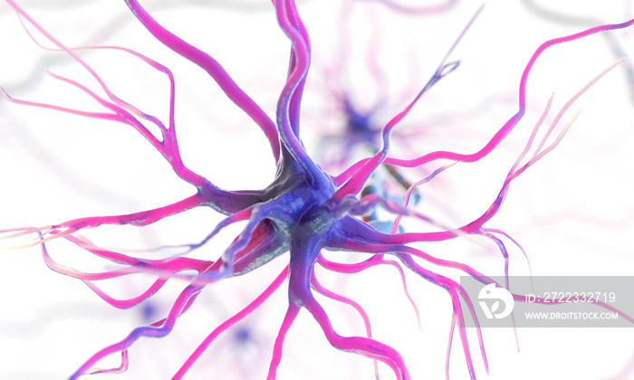 3d rendered medically accurate illustration of a human nerve cell on a white background