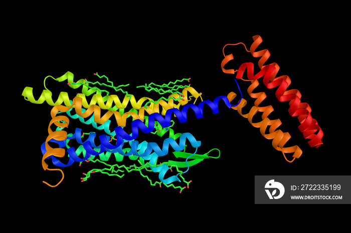 Delta opioid receptor G-protein. Has enkephalins as its endogenous ligands. Possible role in mood re